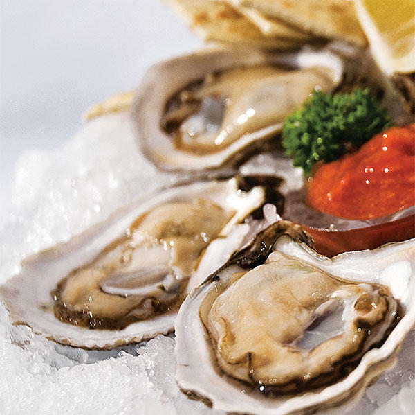 Raw Oyster Half Dozen
